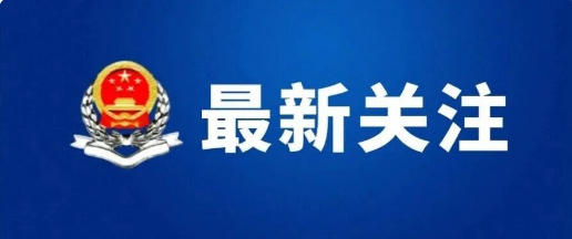 最新！税务部门谈夯实社保费缴费基数